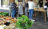 Read more about Host a Butterfly High Tea