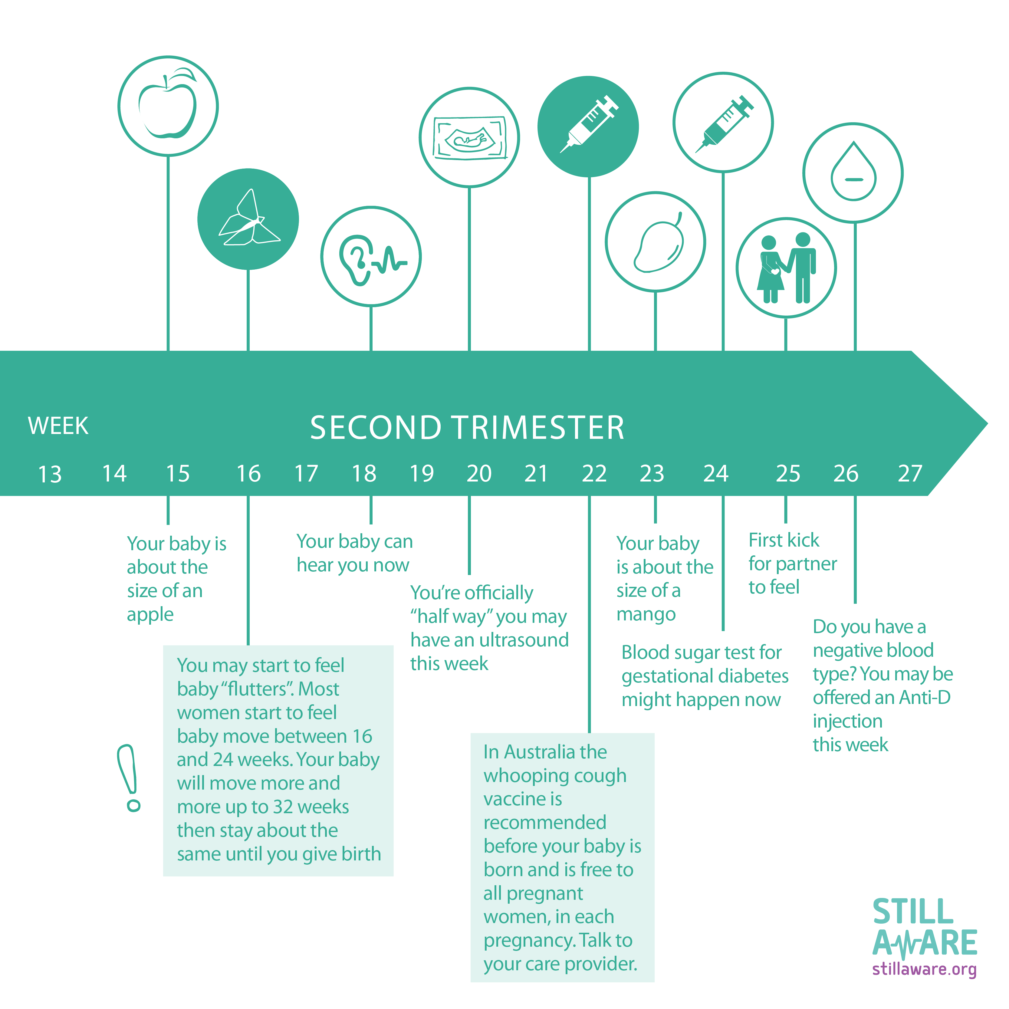 Second Trimester Tracking