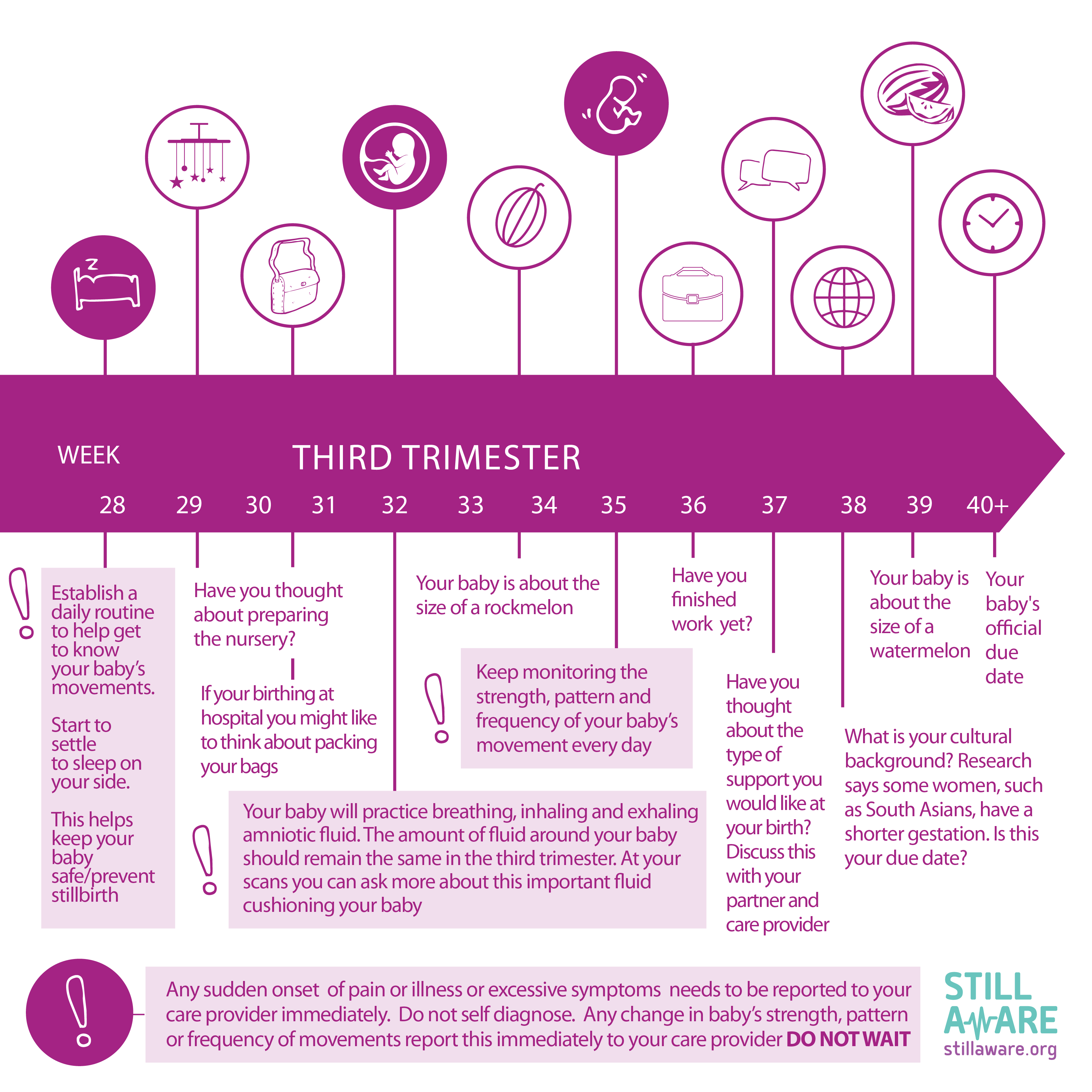 Third Trimester