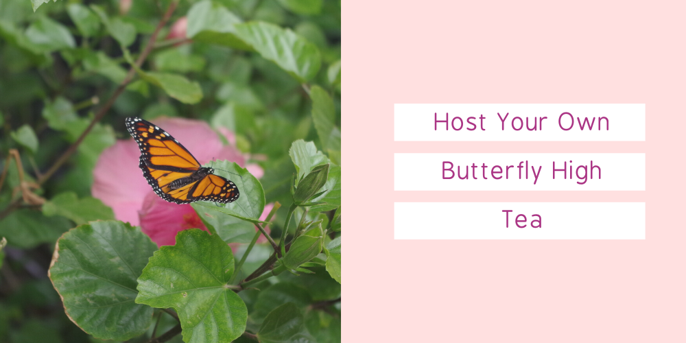 Host Your Own Butterfly High Tea